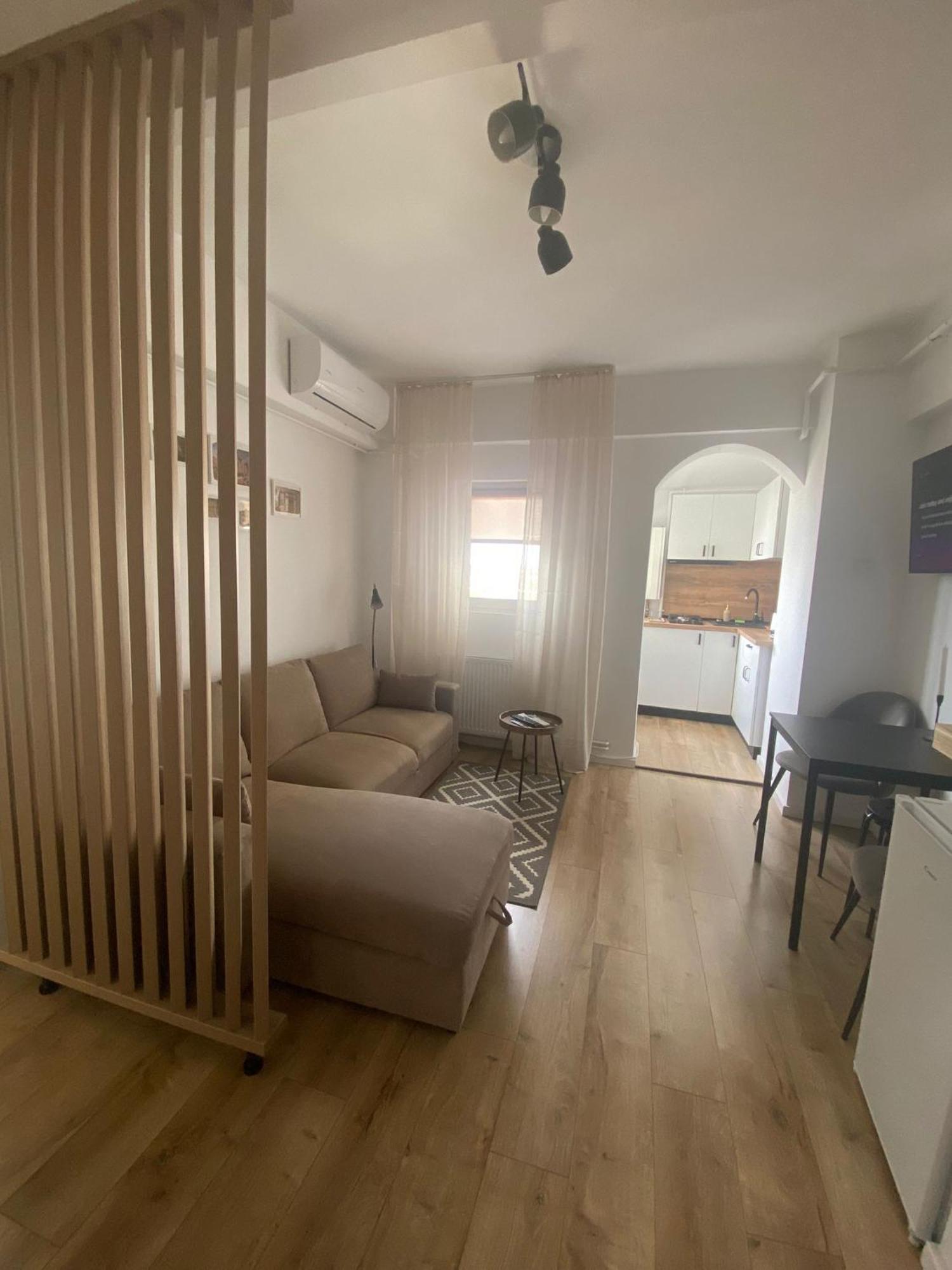 Doinei Cozy Flat Apartment Timisoara